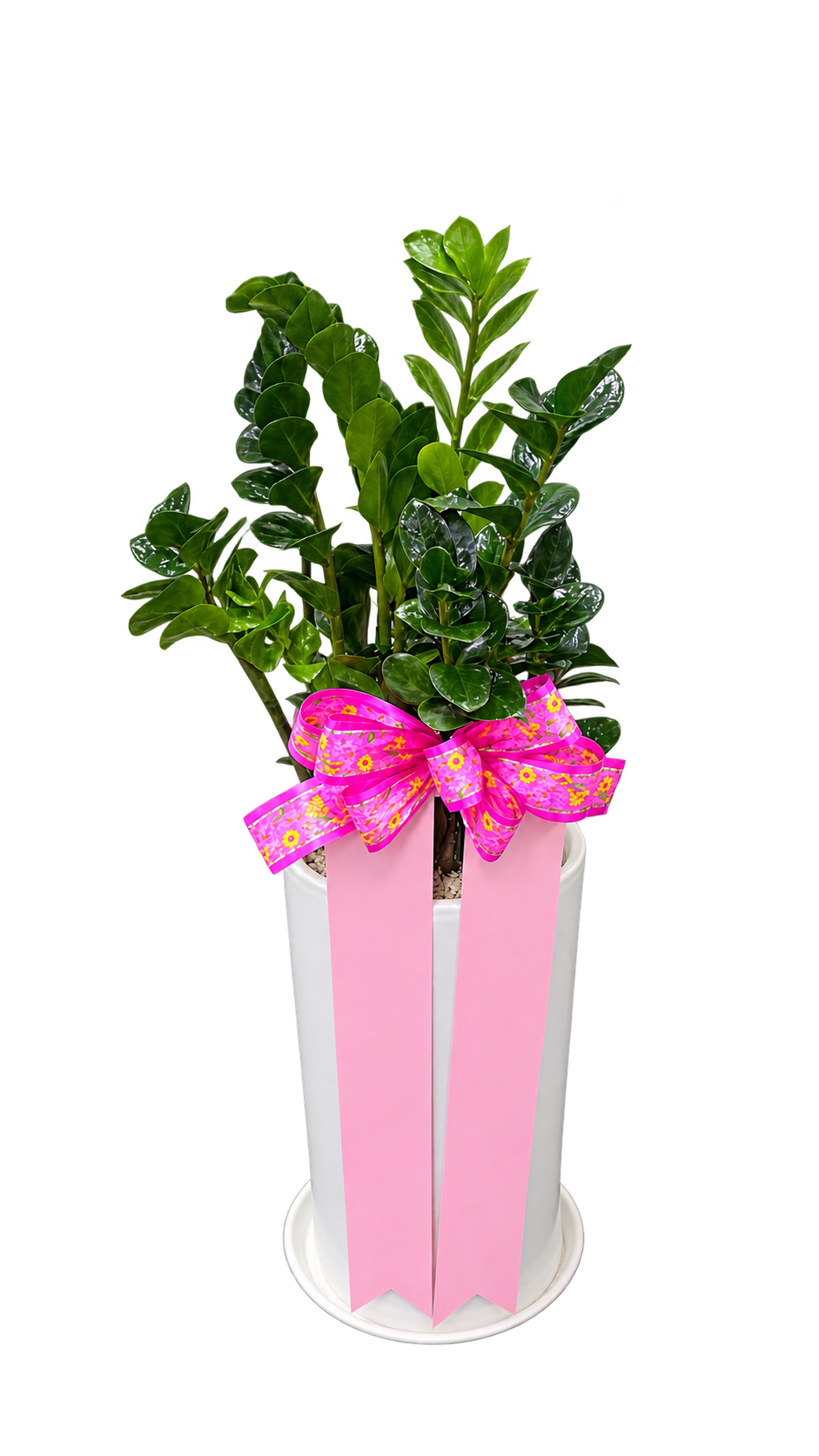 b9413cf69b72bbf58a5ec8f230a2e493_1788937505_2933.png
